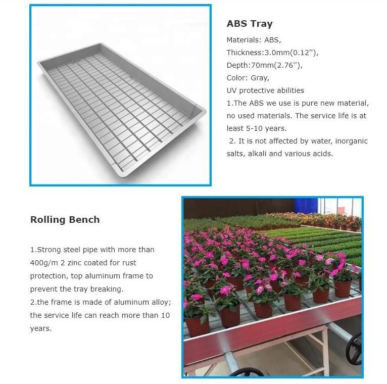 Multi Layer Grow Table Vertical Grow Rack Double Deck Shelves for Plants