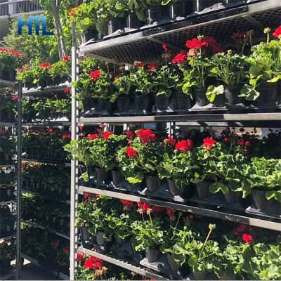 Nursery Cc Greenhouse Rolling Plant Shipping Display Racks