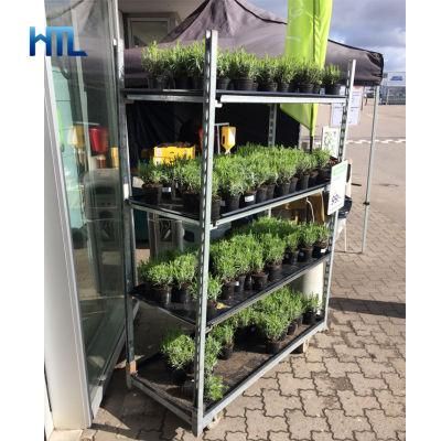 Metal Galvanized Horticultural Danish Plant Nursery Transport Cc Greenhouse Trolley