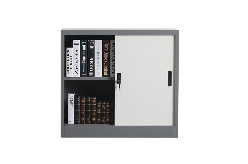 2 Sliding Door Steel Storage File Cabinets Vertical Metal Bookshelf Fireproof Filing Cabinet Luoyang Office Furniture Equipment