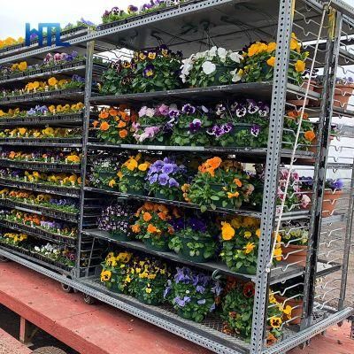 Customized Removable Shelves Horticultural Nursery Greenhouse Slide Sliding Flower Trolley