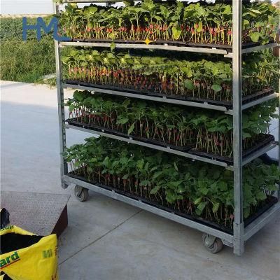 Professional Quality Metal Display Flower Nursery Plant Transport Cart