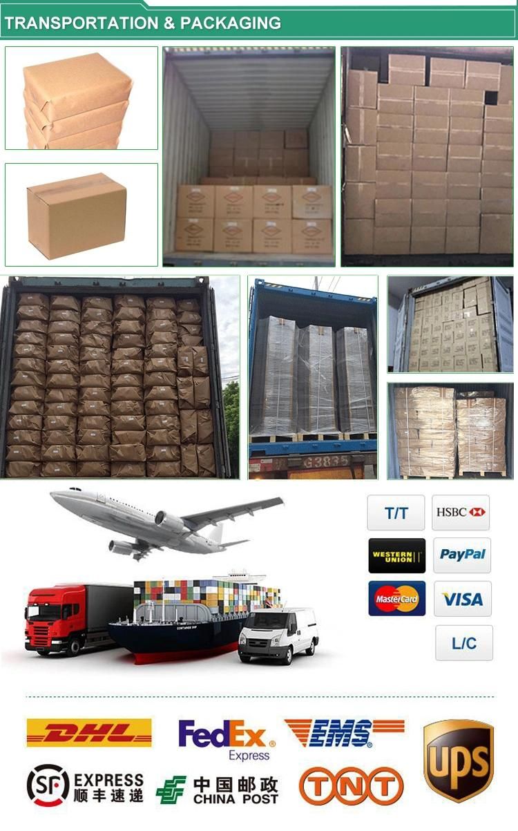 Custom Printing Warehouse Sorting Storage Box Cardboard Display Stand