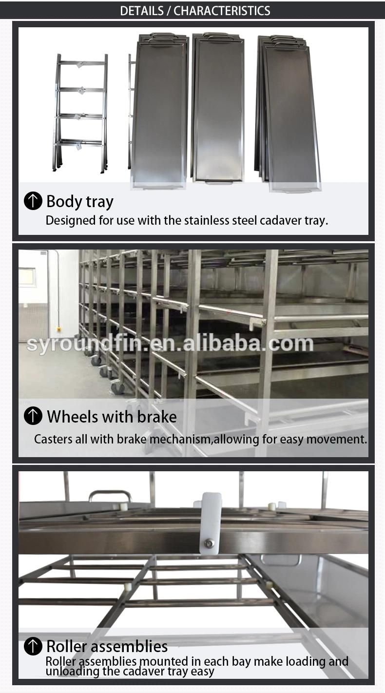 Roundfin Cadaver Cremation Shelf Cadaver Handling Storage Racks Morgue Rack & Body Tray System