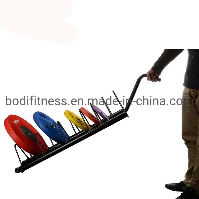 Gym Equipment High Quality Metal Storage Rack Plate Rack