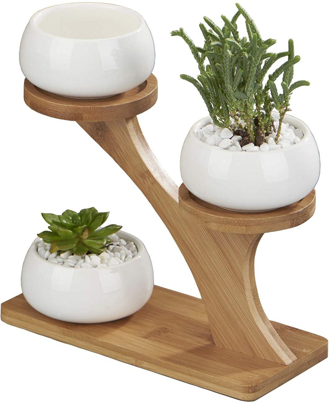 Planter Pots Indoor, 3 Pack 3 Inch White Ceramic Decorative Small Round Succulent Cactus Flower Plant Pot with Tree Tier Bamboo Stand for Garden Kitchen Home of