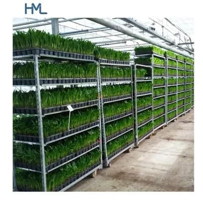 Galvanized Horticultural Greenhouse Metal Sheet Flower Trolley for Nursery Use