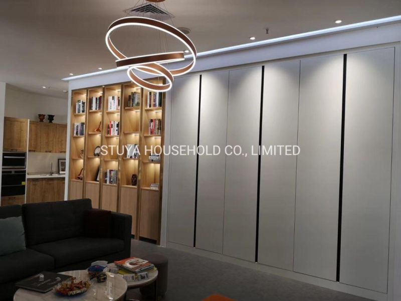 Office Furniture Light Luxury Style Glass Door Bookcase Wardrobe Cabinet