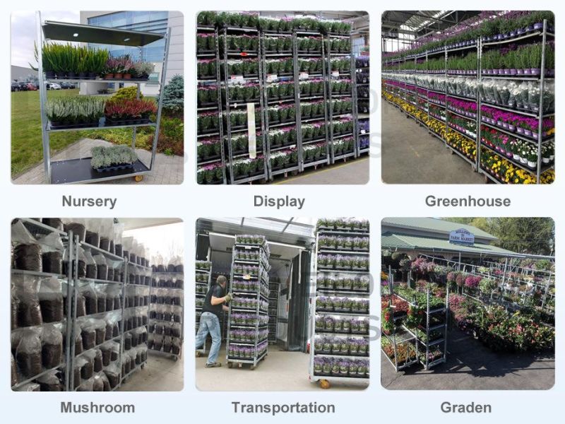 Wire Mesh PP Shelves Nursery Plant Cart for Transporting Plants