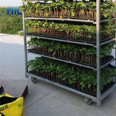 Hot Sale Horticultural 4 Wheel Garden Cc Rack for Plant