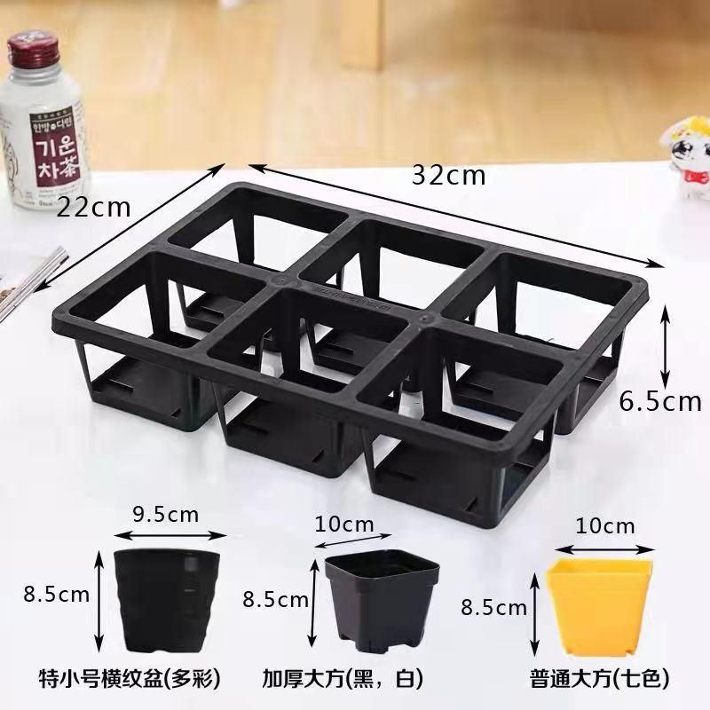 Gardening Seed Boxes Holder Plant Growing Trays Rack Seedling Vegetables Nursery Tray Shelf