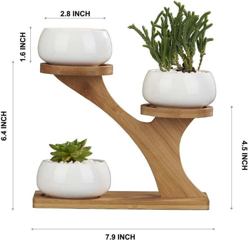 Planter Pots Indoor, 3 Pack 3 Inch White Ceramic Decorative Small Round Succulent Cactus Flower Plant Pot with Tree Tier Bamboo Stand for Garden Kitchen Home of
