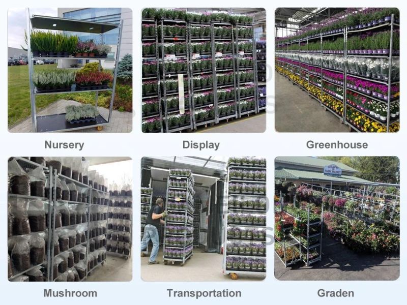 Customized Welding Display Multipul Shelves Plant Nursery Flower Garden Trolley