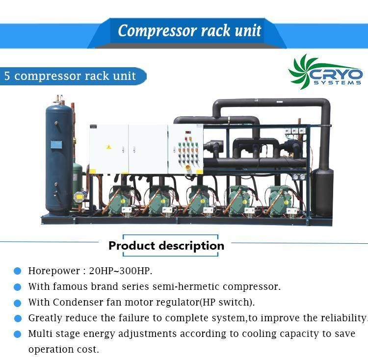 Air Cooled Chiller Refrigeration Machine Refrigeration System Tube Compressor Rack for Cold Storage