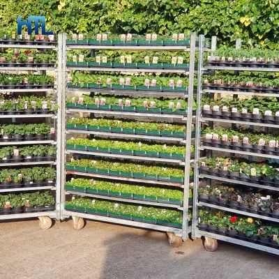 4 Wheel Danish Garden Nursery Greenhouse Flower Metal Plant Rack