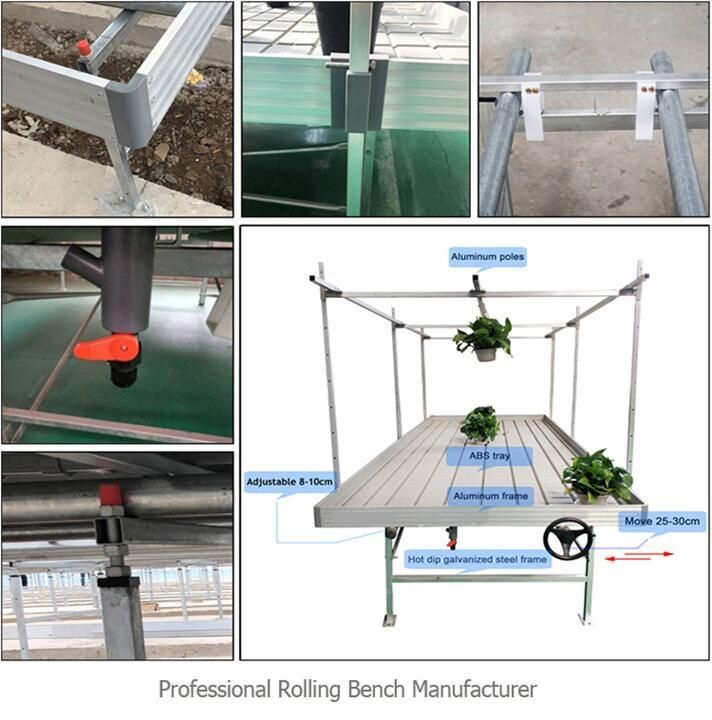 Hydroponic Growing System Mobile Storage System Nursery Flower Two Tier 4X8FT Grow Rack Vertical Farming