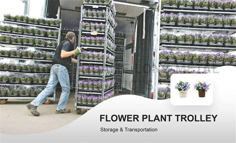 Flower Pot Plant Rack Trolley Shelves with 4 Wheels for Transport
