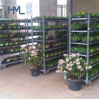 Customized Greenhouse Fancy Flower Display Folding Garden Trolley with Shelves
