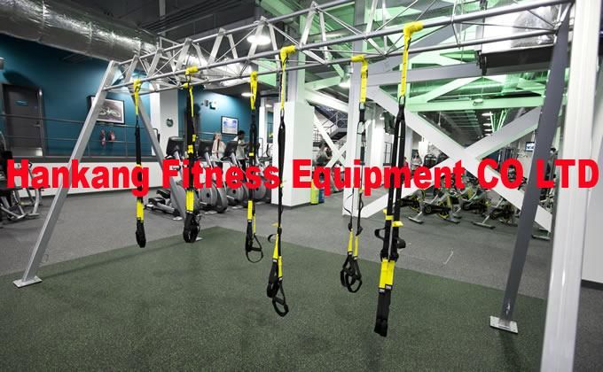 New fitness Rack and gym machine,Define Strength Rack and Define Health Tech,Fitness Rack and gym equipment, Balance Ball (Bosu) Storage Rack -HR-011