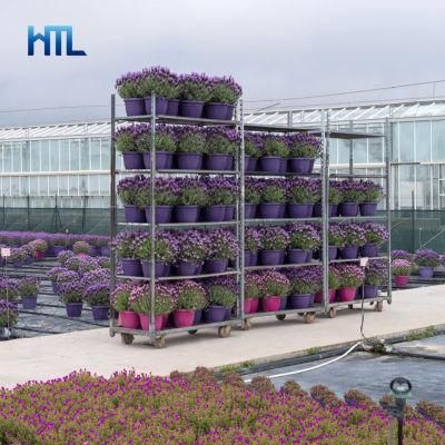 Nursery Horticultural Greenhouse Transport Danish Galvanized Flower Trolley