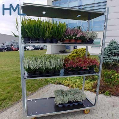 Good Quality Galvanized Greenhouse Industrial Metal Flower Trolley for Sale