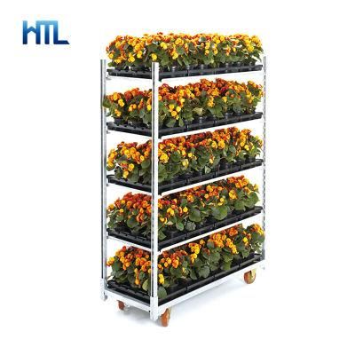 Outdoor Plywood Garden Centre Danish Plant Trolleys for Flower Transport