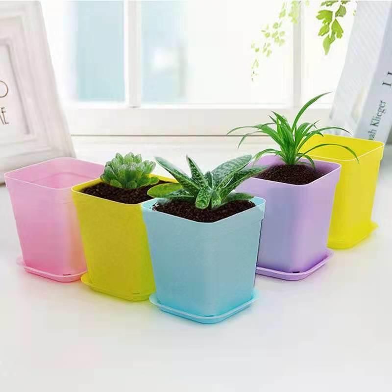 Gardening Seed Boxes Holder Plant Growing Trays Rack Seedling Vegetables Nursery Tray Shelf