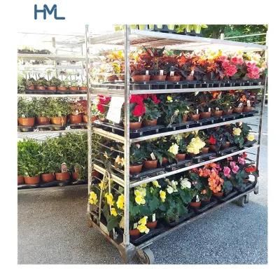 Horticultural Greenhouse Danish Plant Nursery Racks for Transporting Plants