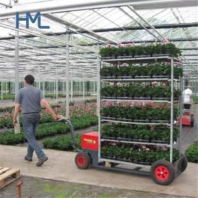 Huameilong 4 Wheel Garden Flower Cart Plant Trolleys Nursery Racks