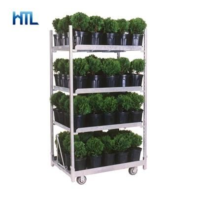 Farmers Market Garden Center Flower Plant Transport Horticultural Trolleys