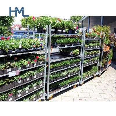Customized Danish Style Greenhouse Horticultural Flower Trolleys Shelves for Sale