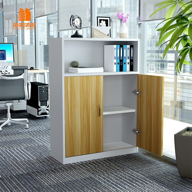 Display Shelf, High Quality Steel Cabinet, File Cabinet
