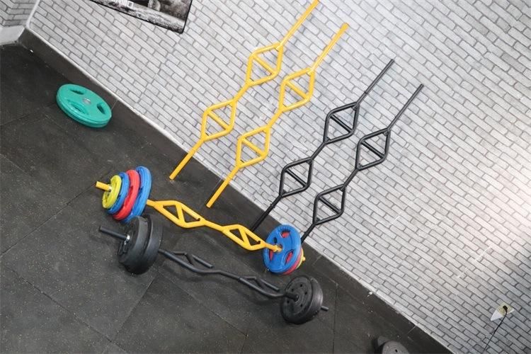 Zyfit Hot Sale Dumbbell Storage Dumbbell Rack Home Gym Use Storage Rack for Barbells and Dumbbells