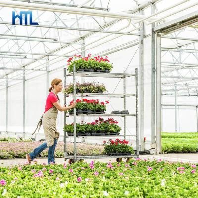 High Quality Garden Centre Greenhouse Metal Rolling Plant Rack
