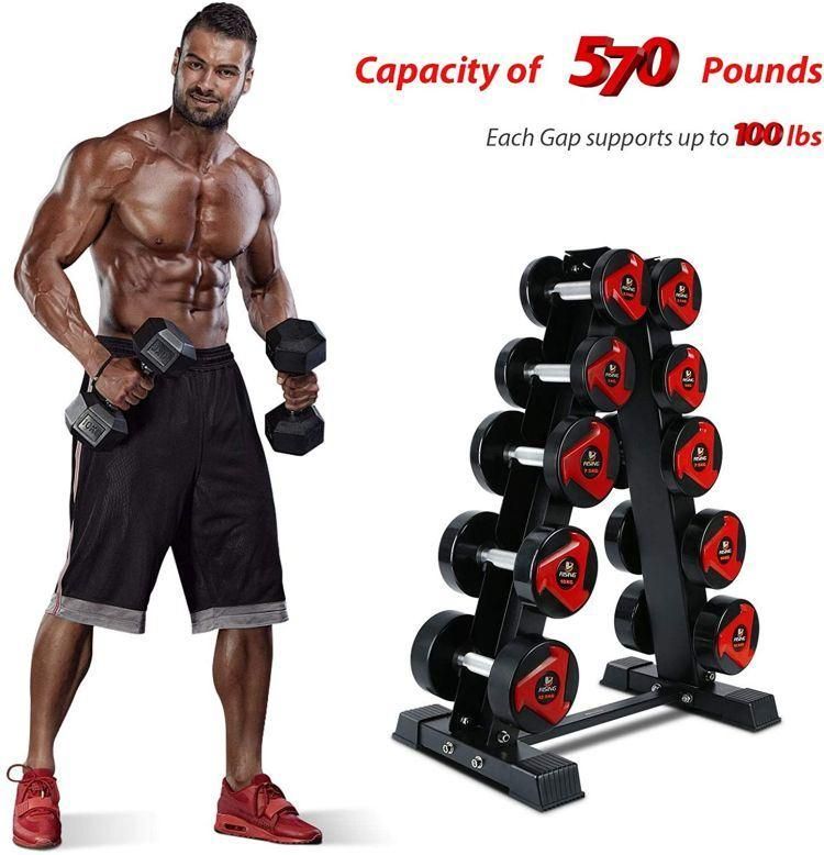 Zyfit Hot Sale Space-Efficient 5-Pair Vertical Dumbbell Storage Rack