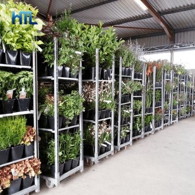 High Quality Customized Greenhouse Garden Plant Metal Nursery Trolleys for Sale