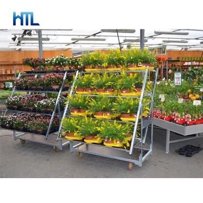 Metal Galvanized Greenhouse Plant Wholesale Flower Carts for Nursery Use