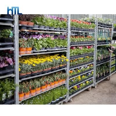 Good Quality Farm Warehouse Greenhouse Garden Centre Flower Nursury Plant Rack