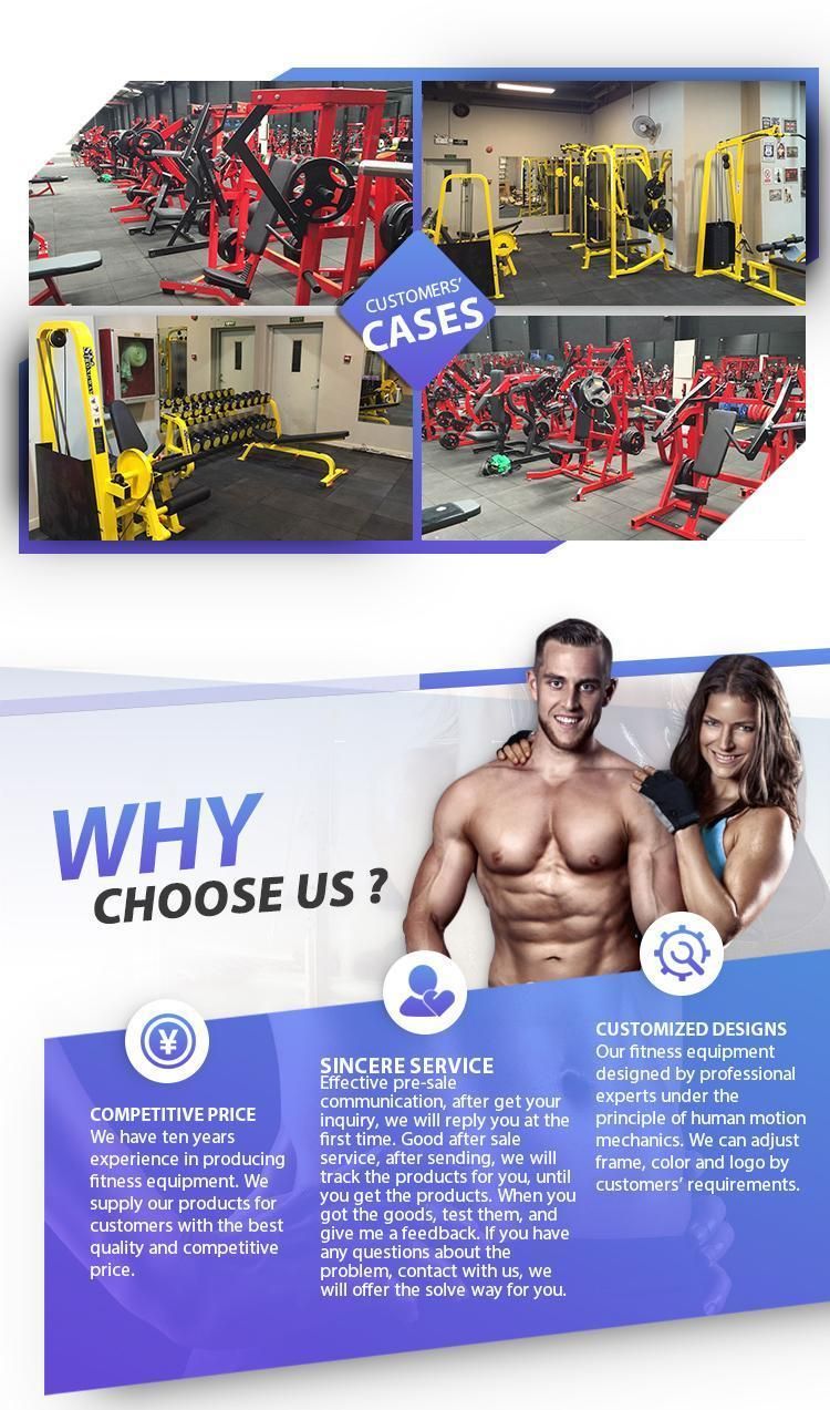 Hot Sale Body Building Custom Logo Fitness Gym Equipment Storage Rack