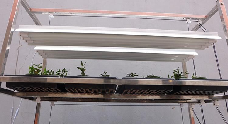 Multi Shelf Greenhouse Transport Nursery Plant Danish Display Garden Center Flower Rack