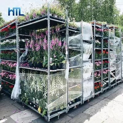 Customized Removable PP Shelves Horticultural Plant Nursery Greenhouse Cc Carts