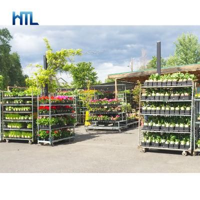 Mobile Shelf Galvanized Auction Flower Greenhouse Plant Nursery Rack Trolley