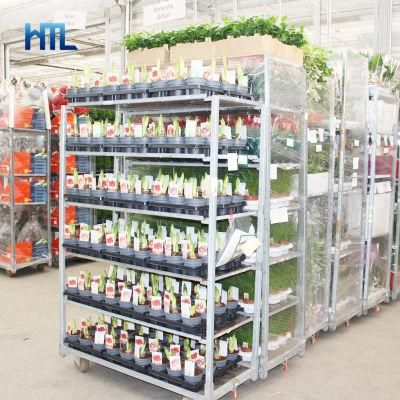 Adjustable Shelves Auction Garden Center Greenhouse Danish Plant Display Trolley