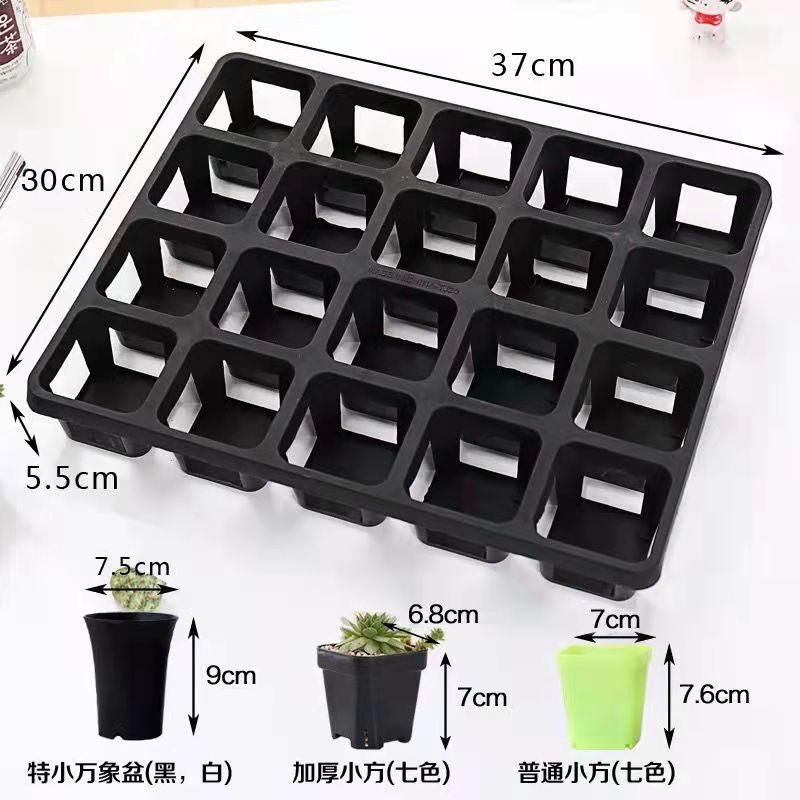 Gardening Seed Boxes Holder Plant Growing Trays Rack Seedling Vegetables Nursery Tray Shelf