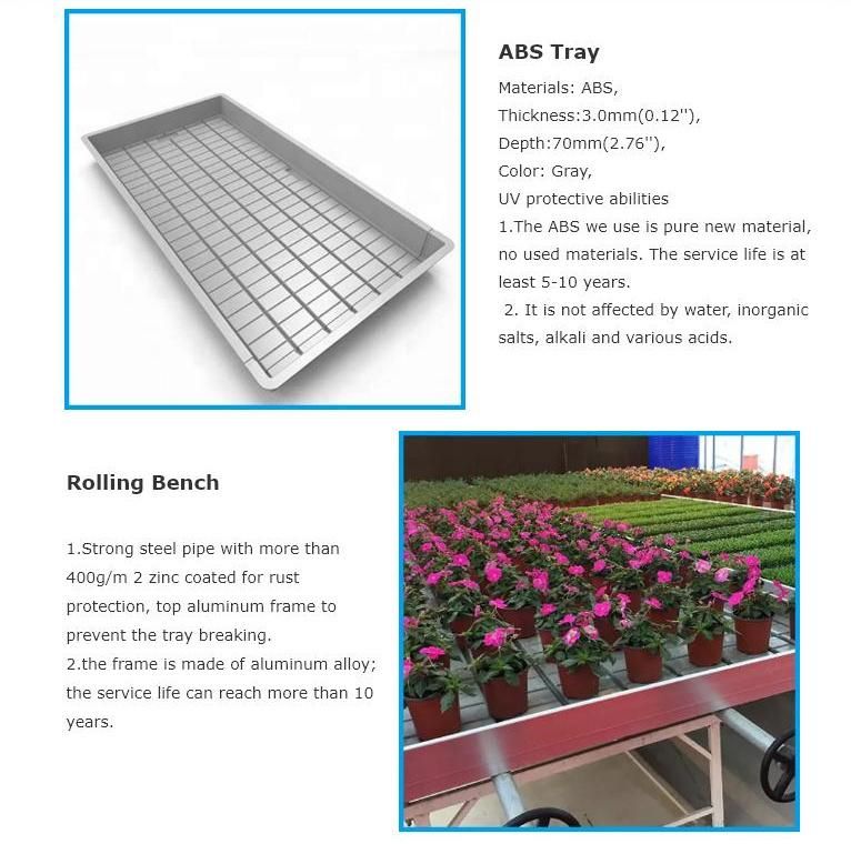Mobile Storage System Nursery Flower Two Tier 4X8FT Grow Rack Vertical Farming