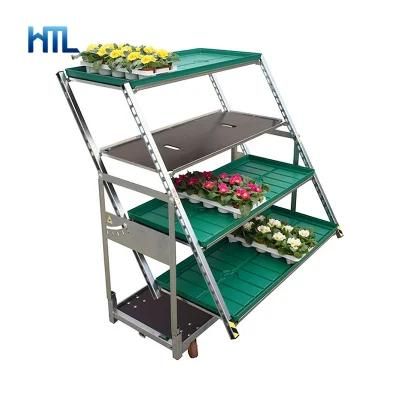 Galvanized Plant Flower Greenhouse Transportation Display Shelving Trolley for Sale