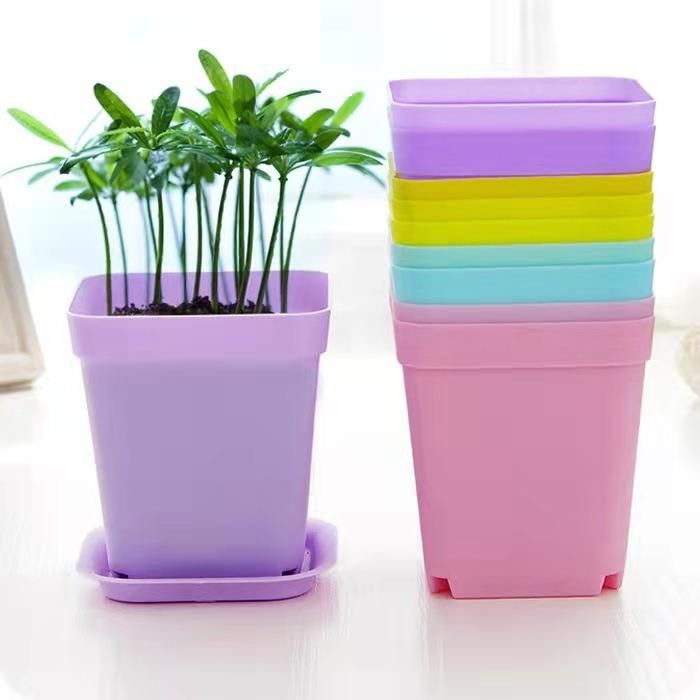 Gardening Seed Boxes Holder Plant Growing Trays Rack Seedling Vegetables Nursery Tray Shelf