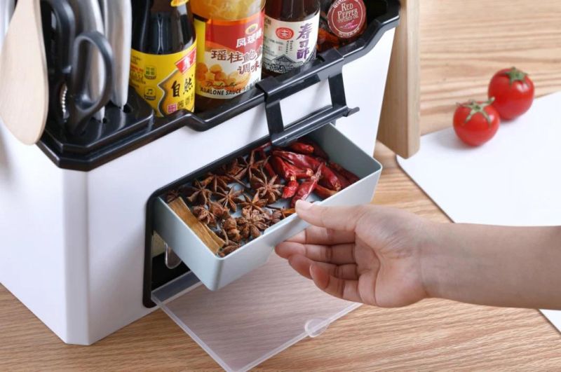 Hot Selling Plastic Kitchen Spice Storage Rack