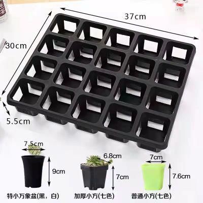 Gardening Seed Boxes Holder Plant Growing Trays Rack Seedling Vegetables Nursery Tray Shelf Seeding Tray