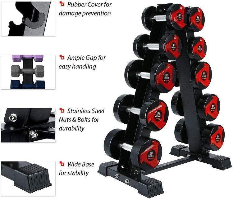 Zyfit Hot Sale Stable Space-Efficient 5-Pair Vertical Dumbbell Storage Rack